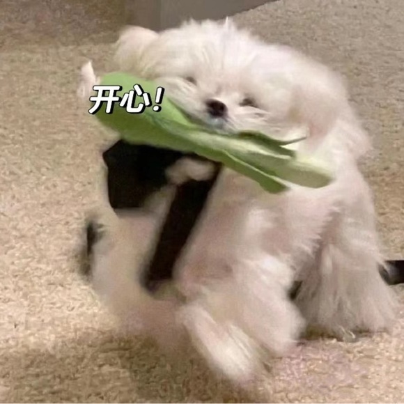 Meet your Posher, Liu - Picture 1 of 1